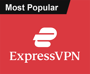 VPN Logo